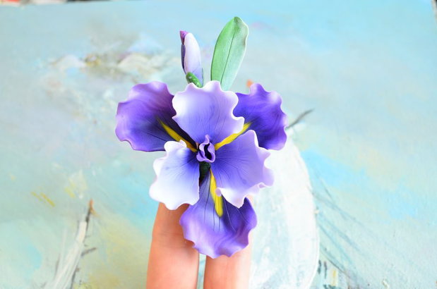 Iris mov - Brosa mare