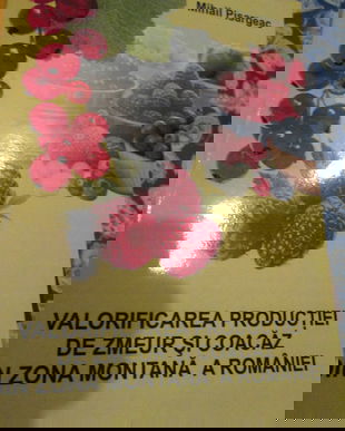 2009 Valorificarea productiei de zmeur si coacaz