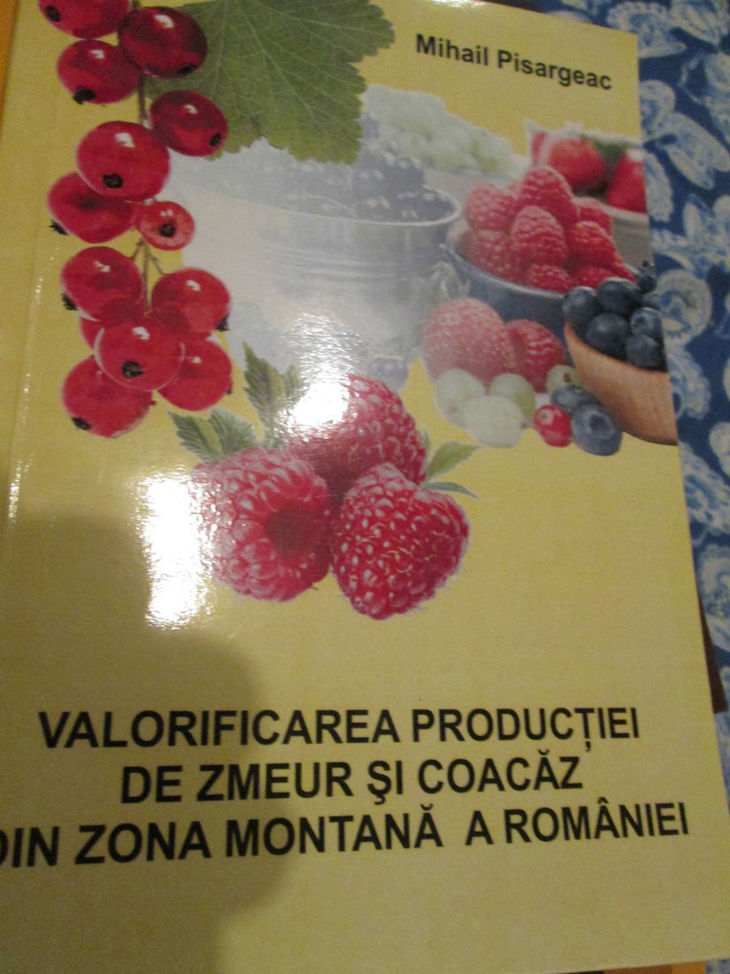 2009 Valorificarea productiei de zmeur si coacaz