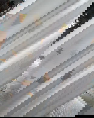 perdea  scurta  250/165cm