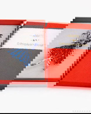 Broșă Z&acirc;nă Albastră Cu Detalii Strălucitoare &ndash; Mărțișor de Primăvară, Accesoriu Delicat pentru Femei