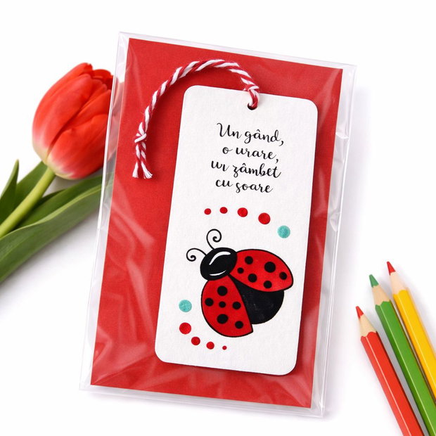Minisemn de carte martisor buburuza pictat manual cu mesaj