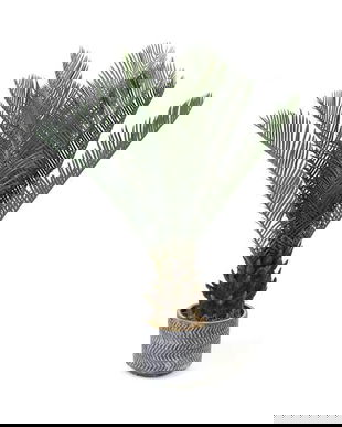 Palmier Cycas Artificial 65cm PT016
