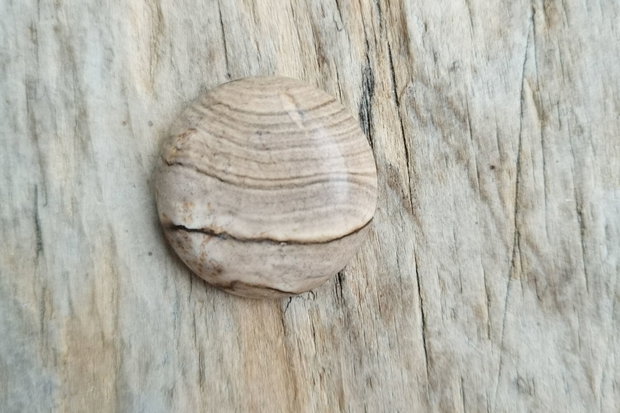 Cabochon picture jasper, 25 mm