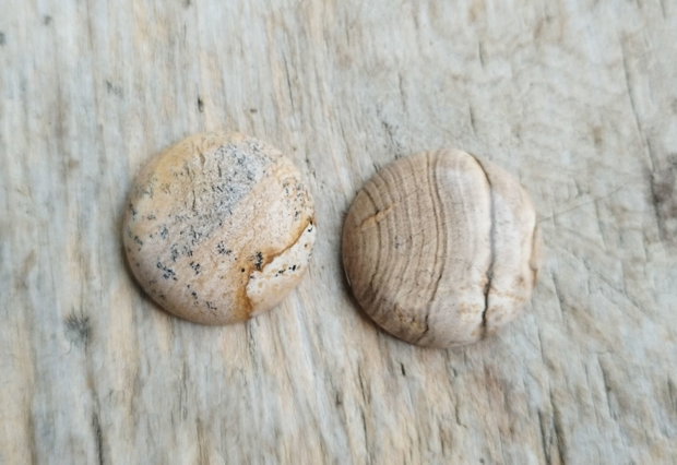 Cabochon picture jasper, 25 mm