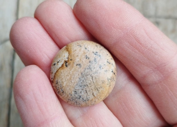 Cabochon picture jasper, 25 mm