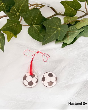 Brosa martisor: Minge