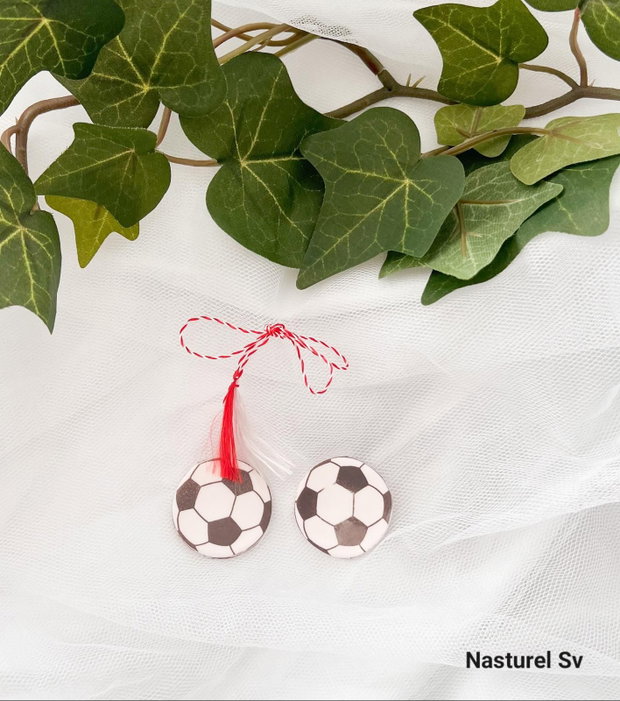 Brosa martisor: Minge