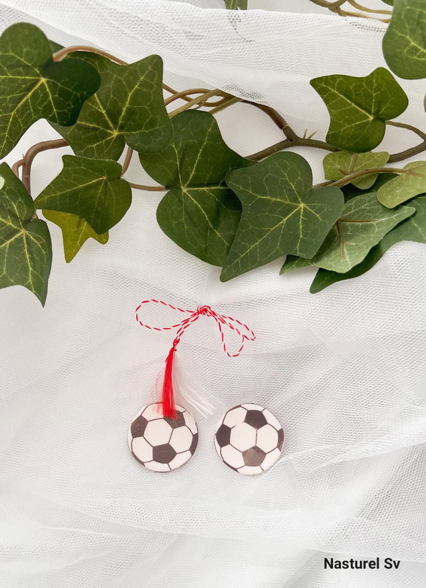 Brosa martisor: Minge