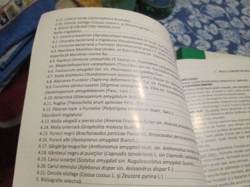 2016 Bolile si daunatorii speciilor nucifere