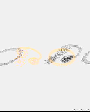 Aldo inele BEEBLOSSOM 2-pack