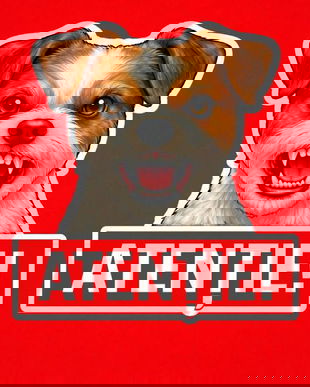 Banner indicator avertizare Atentie Caine Jack Russell Terrier 30x30cm