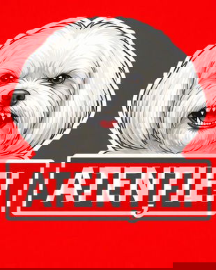 Banner indicator avertizare Atentie Caine Bichon Maltez 30x30cm