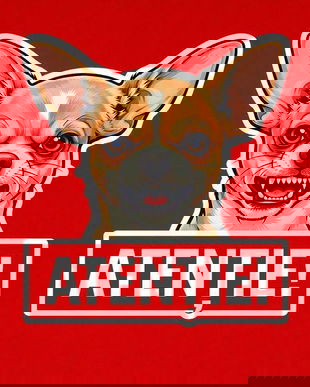 Banner indicator avertizare Atentie Caine Chihuahua 30x30cm