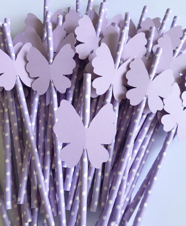 Paie suc decorate cu fluturi