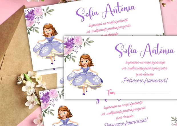 Plicuri bani botez Prințesa Sofia și flori mov