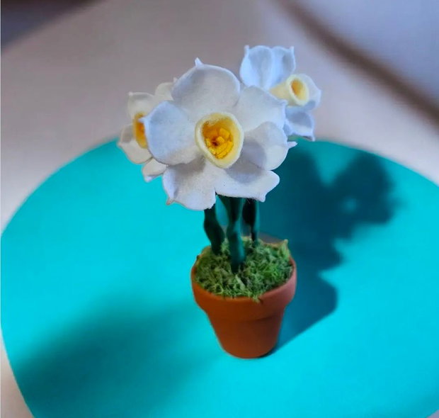 Decorațiune cu narcise
