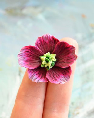 Helleborus visiniu (spanz)- Brosa martisor