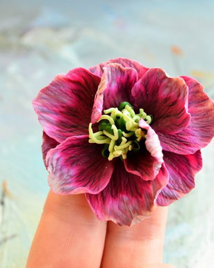 Helleborus visiniu (spanz) - Brosa mare
