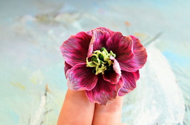 Helleborus visiniu (spanz) - Brosa mare
