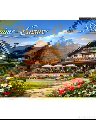 Banner Pensiune-Cazare Personalizabil 80X110 cm