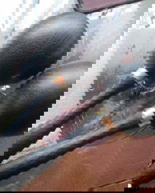 dispozitive muzicale Maracas