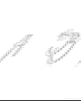 Tous cercei de argint