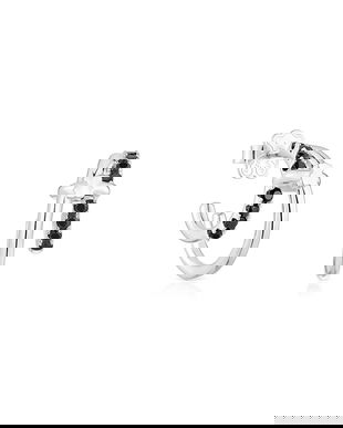 Tous cercei de argint