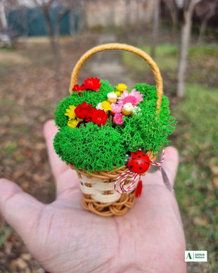 Martisor cosulet