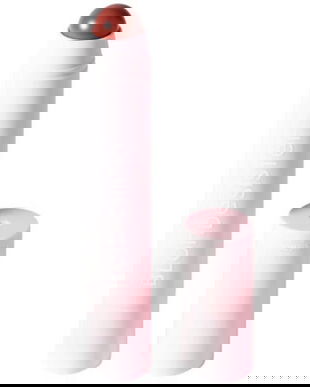 Ruj si Blush 2 in 1 - Blondesister 2 in 1 Lipstick &amp; Blush It's Up To You, nuanta 02 Rosey Beige, 3.5 g