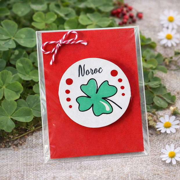 Martisor brosa cu mesaj pictat manual handmade