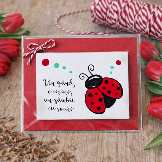 Martisor buburuza pictat manual cu magnet si mesaj haios