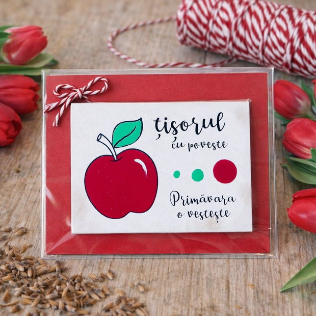 Martisor haios mar magnet pictat manual cu mesaj