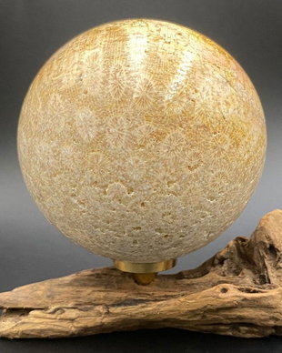 Coral Fosilizat - Sfera piatra semipretioasa