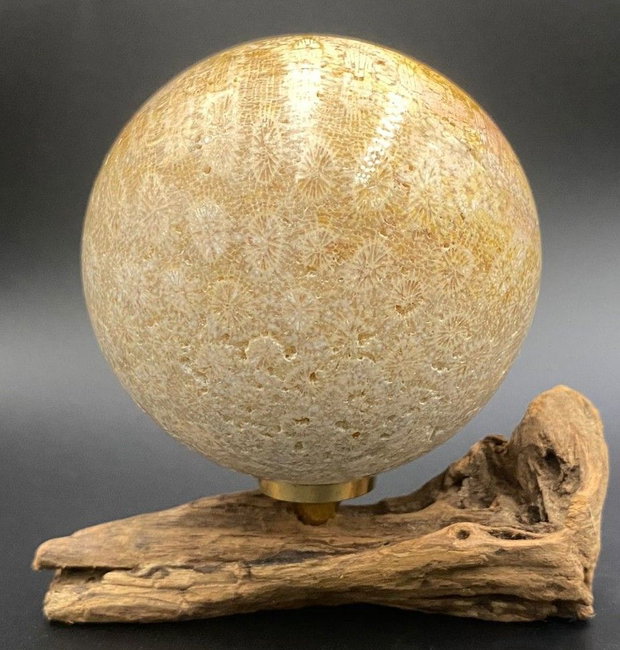 Coral Fosilizat - Sfera piatra semipretioasa