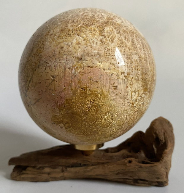 Coral Fosilizat - Sfera piatra semipretioasa