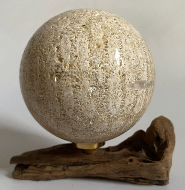 Coral Fosilizat - Sfera piatra semipretioasa