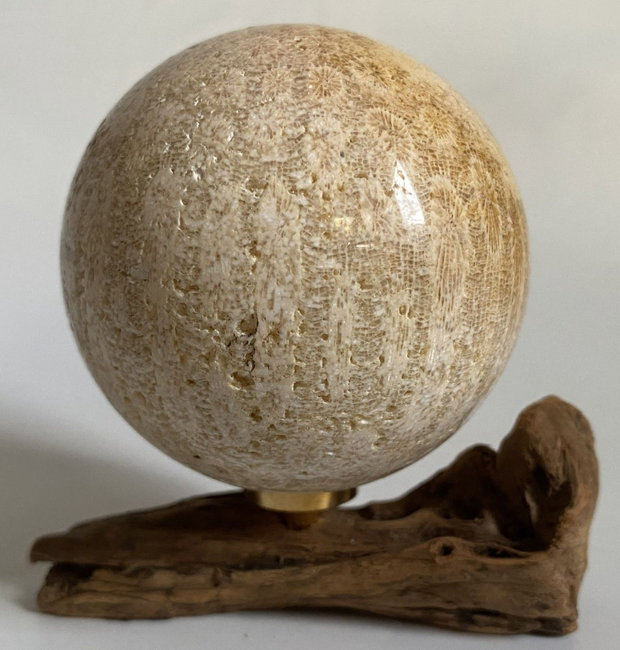 Coral Fosilizat - Sfera piatra semipretioasa
