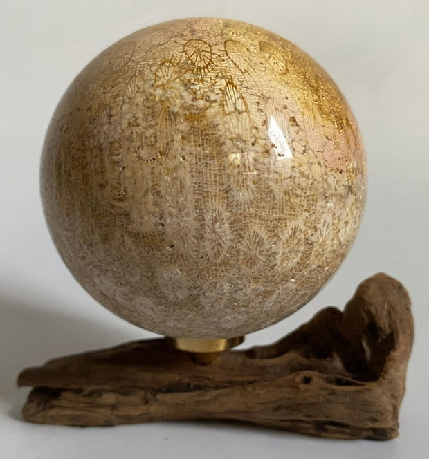 Coral Fosilizat - Sfera piatra semipretioasa