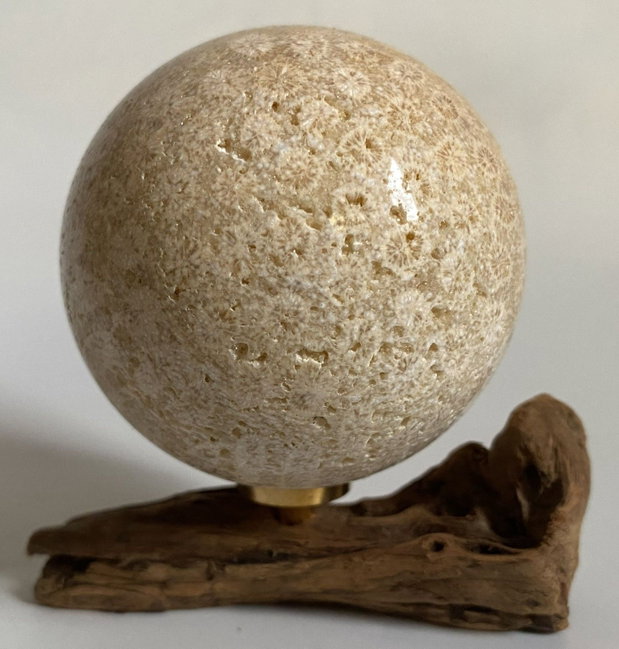 Coral Fosilizat - Sfera piatra semipretioasa