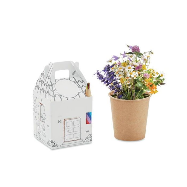 Casa Semințelor Fericite set creativ de plantare în formă de căsuță, cu semințe de flori melifere și creion colorat, mărturie eco pentru evenimente și ateliere copii
