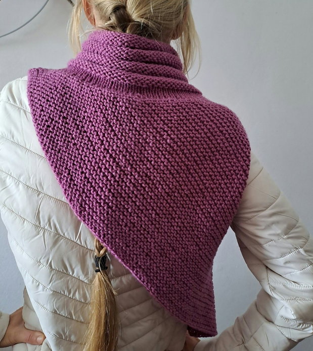 Accesoriu pentru gât,semivestă