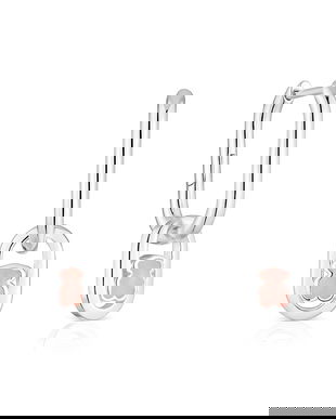 Tous cercei de argint