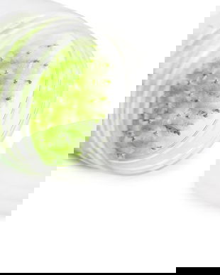 Set de 100 periuțe pentru extensii de gene, verzi