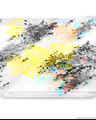 Decor pentru unghii, flori uscate D30