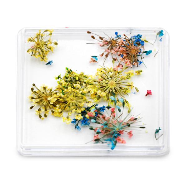 Decor pentru unghii, flori uscate D30