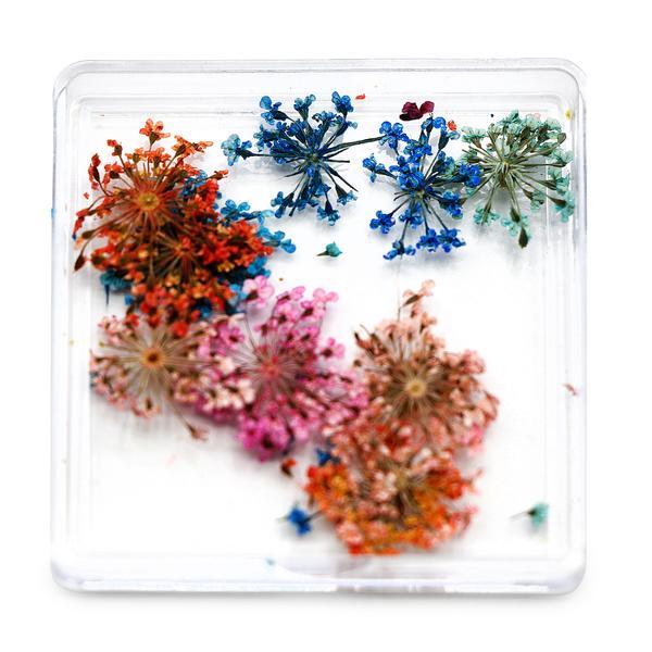 Decor pentru unghii, flori uscate D25