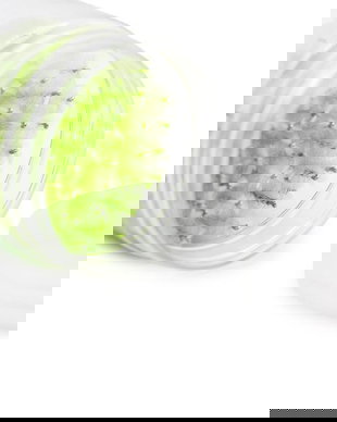 Set de 50 periuțe pentru extensii de gene, verzi