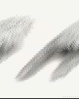 Ruslan Baginskiy căciulă Aviator Hat