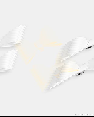 Aldo ornamente pentru pantofi TALOBARAEN 2-pack